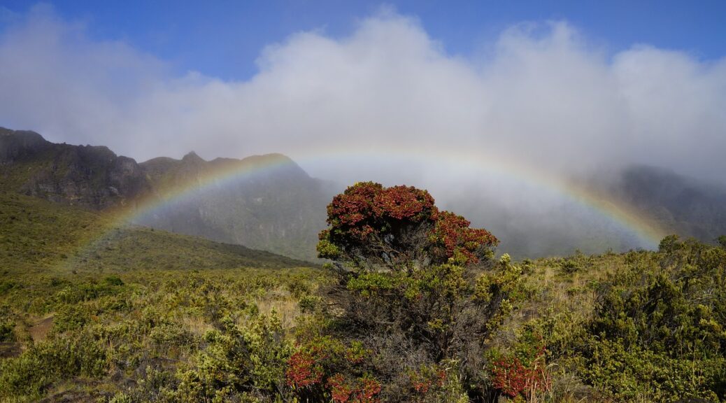 Maui Hawaii Sky Clouds Landscape  - 12019 / Pixabay