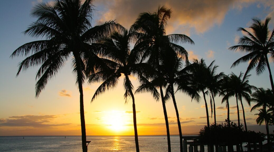 Sunset Palm Tropical Paradise  - Aloha_Mahalo / Pixabay