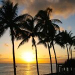 Sunset Palm Tropical Paradise  - Aloha_Mahalo / Pixabay