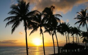 Sunset Palm Tropical Paradise  - Aloha_Mahalo / Pixabay